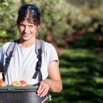 Servizi educativi e formazione professionale